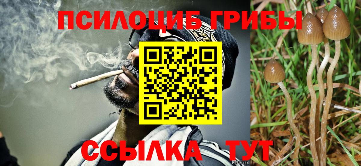 Псилоцибиновые грибы Cubensis  Галлюциногенные грибы Magic Shrooms  Донской  Вход с VPN 